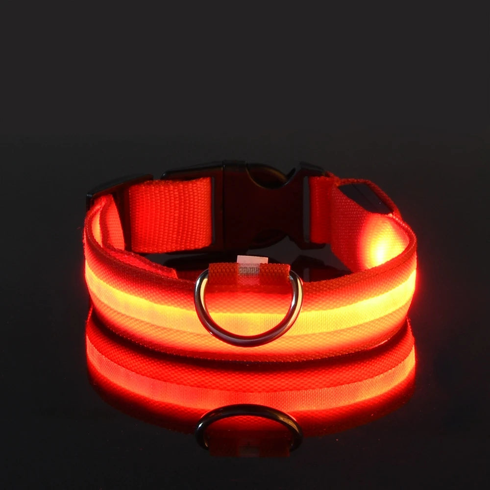 Barkley GlowCollar™