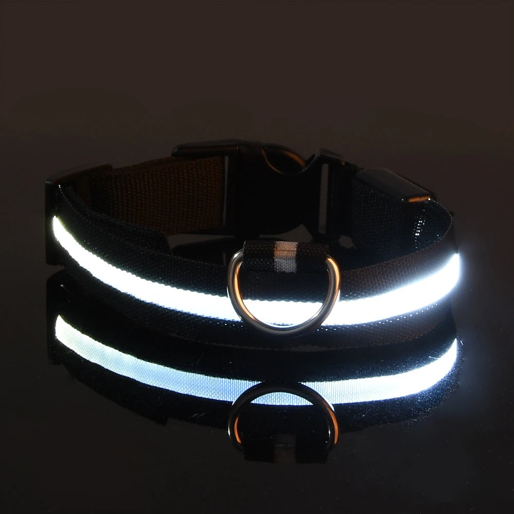 Barkley GlowCollar™