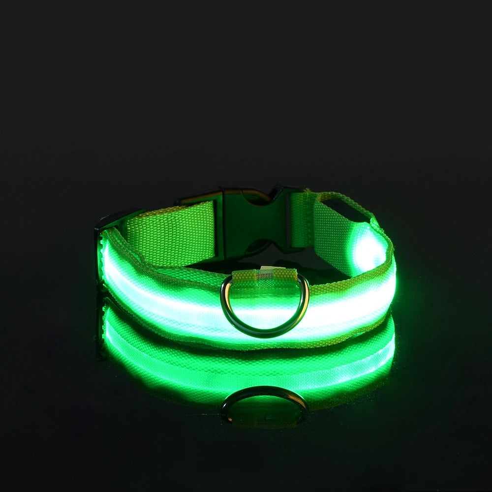 Barkley GlowCollar™