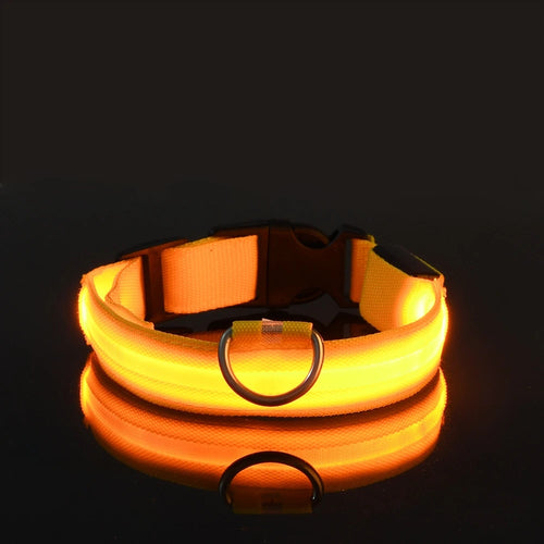 Barkley GlowCollar™