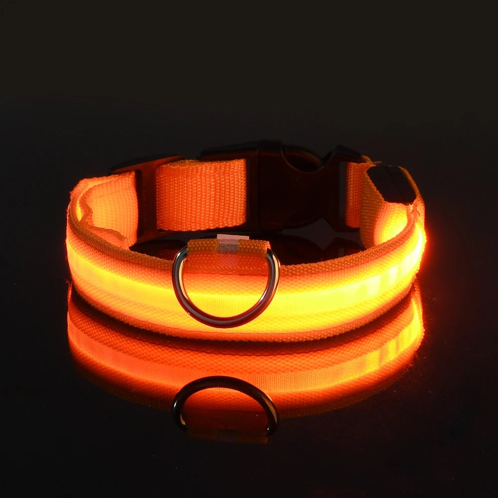 Barkley GlowCollar™