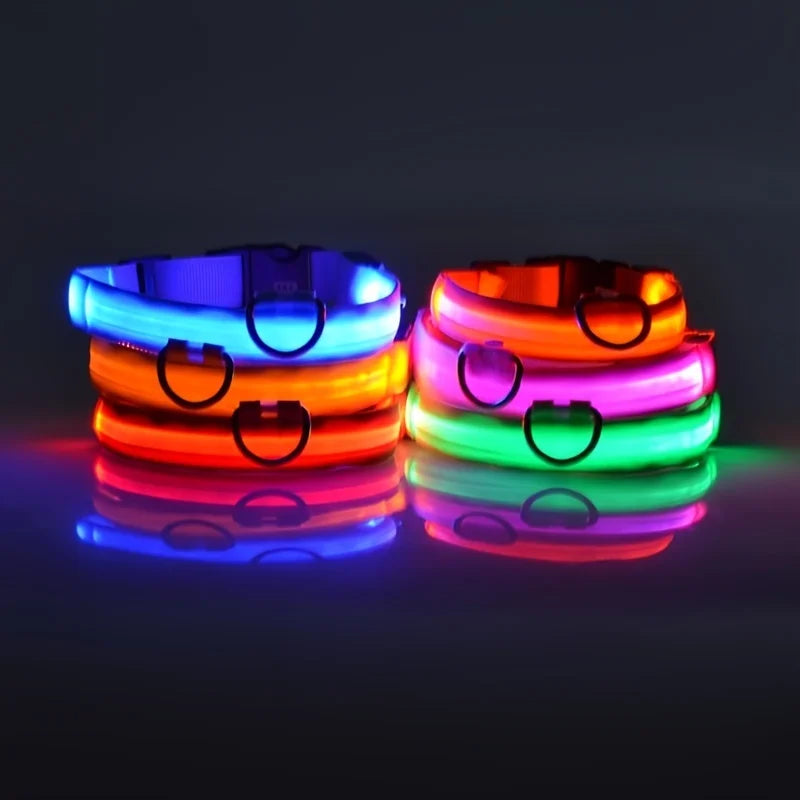 Barkley GlowCollar™