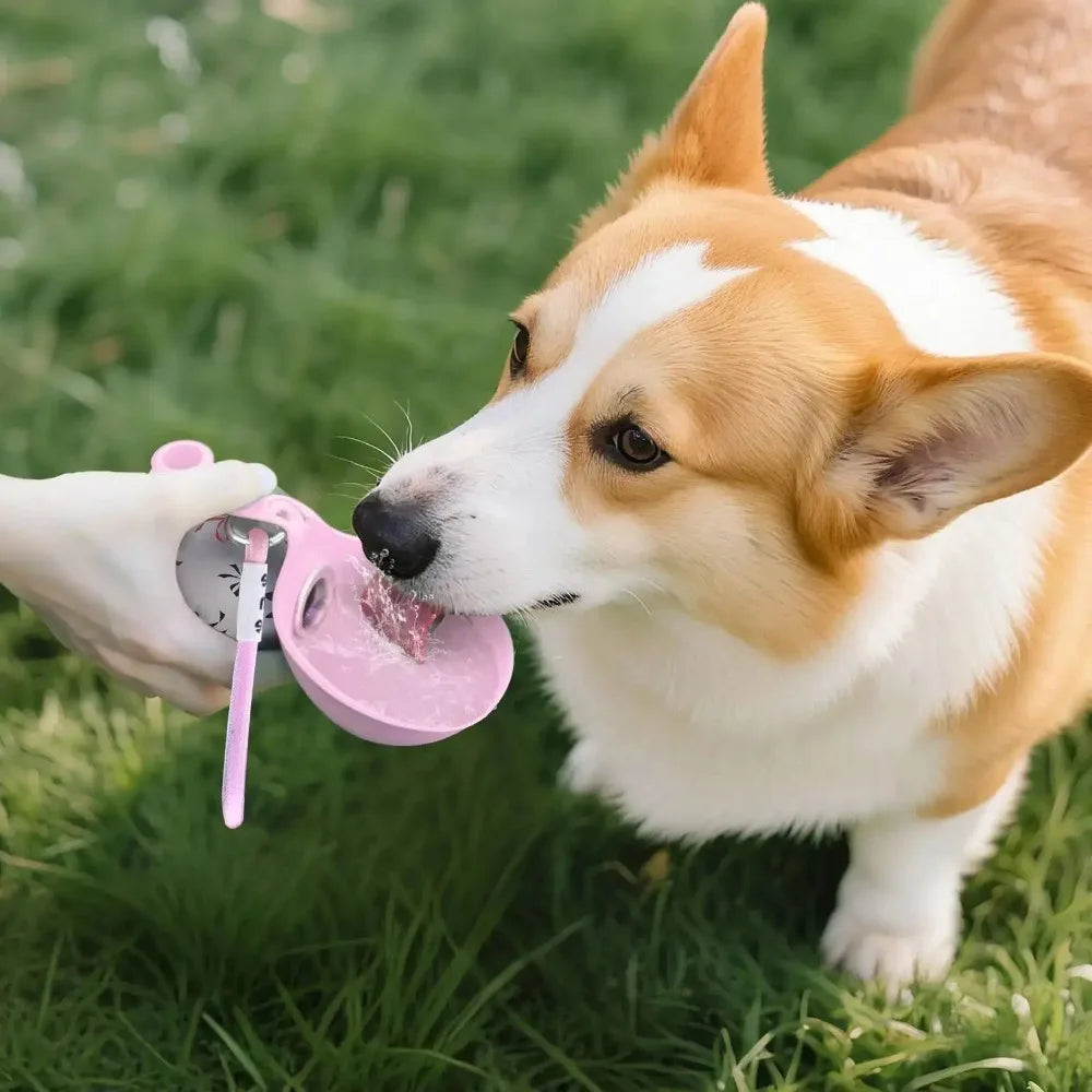 PawDrop™ Portable Hydration Flask